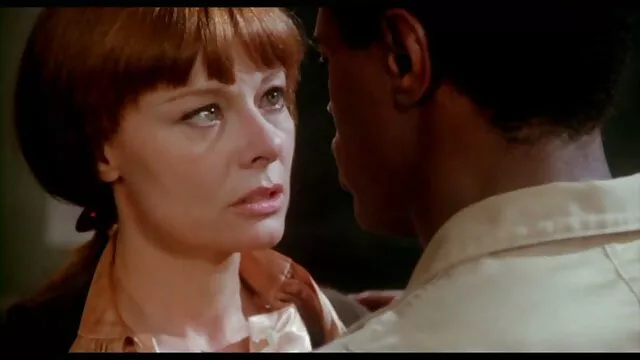 キッチンにナイフを置く 無料 セックス 動画 女性 向け